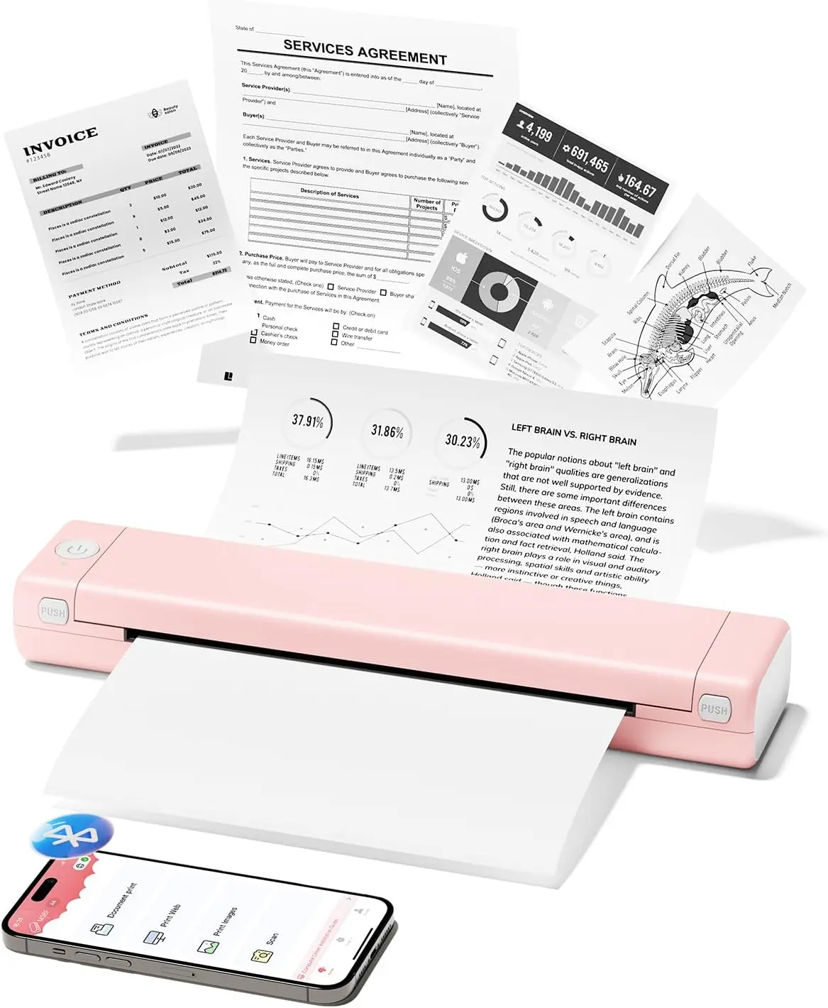Phomemo M08F Pro: The Ultimate Portable Wireless Thermal Printer